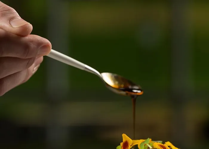 فندق Bloemendal, Near Aachen 4*